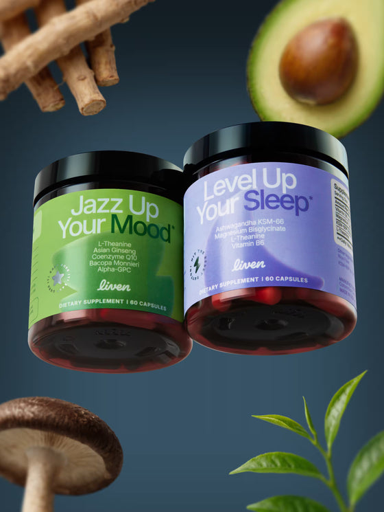 Neural Support Bundle Liven